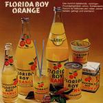 Florida Boy Orange Fruchtsaftgetränk